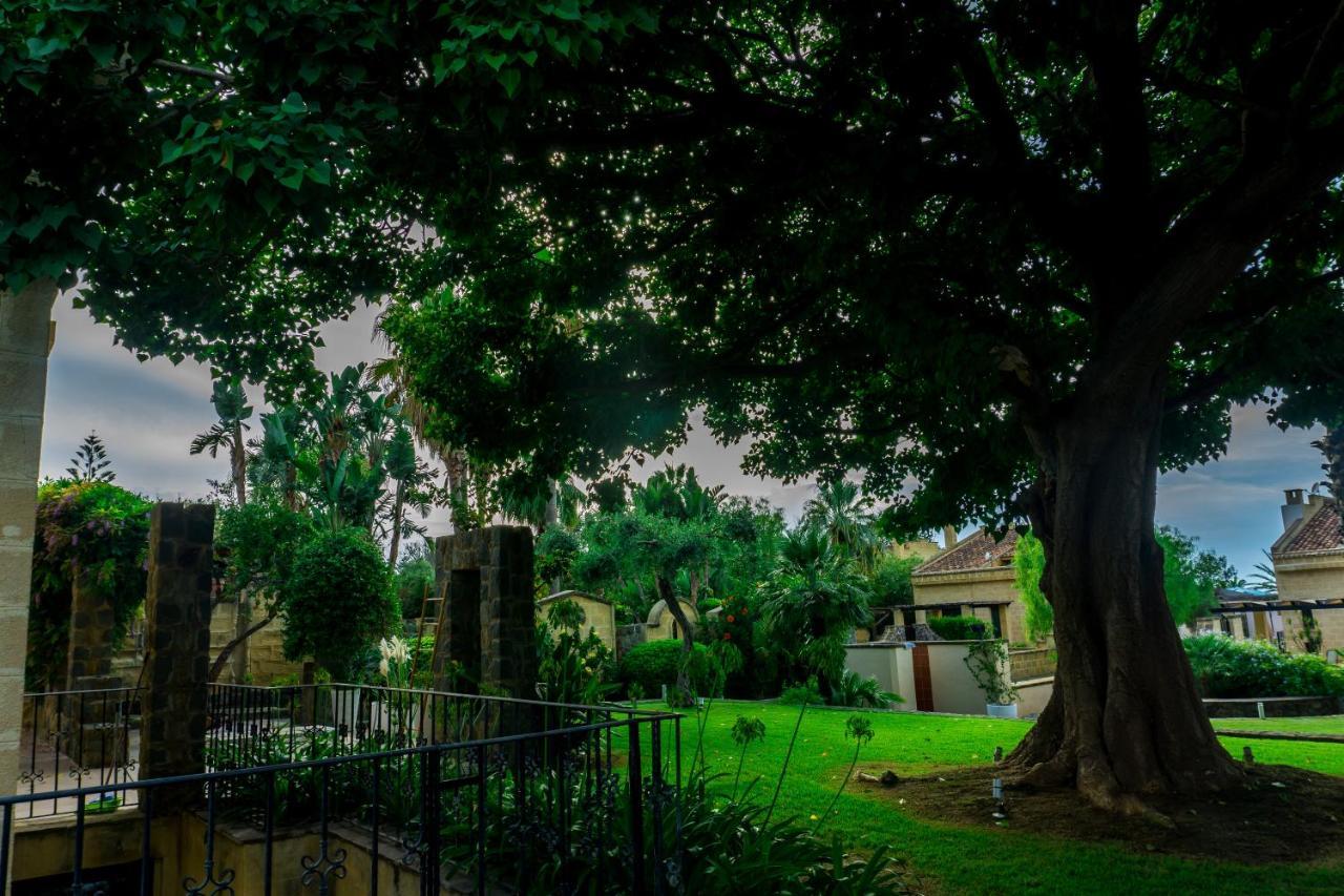 Villa Medina Cefalù Eksteriør bilde